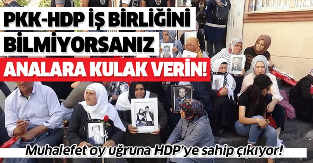 "Muhalefet oy uğruna PKK'nın siyasi uzantısı HDP'ye sahip çıkıyor"