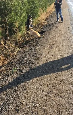 PKK'lı teröristlerin kalleş tuzağı ortaya çıktı