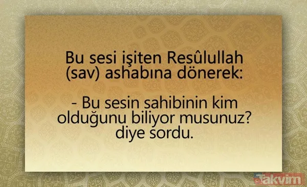 Deccal'in alametleri ortaya çıktı! Dünya ürperdi, işaretler tek tek beliriyor - 34