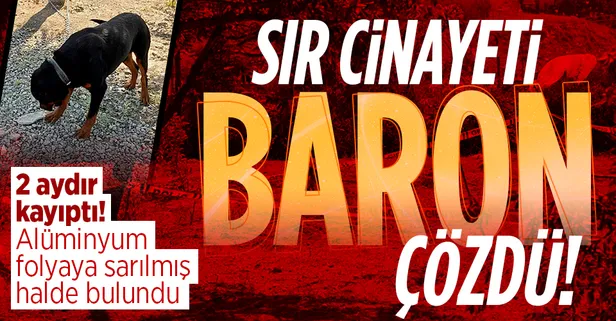 Ankara'da sır cinayeti toprağı eşeleyen köpek ortaya çıkardı