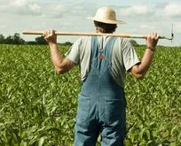 Tarım işçilerine yüzde 12,5 zam