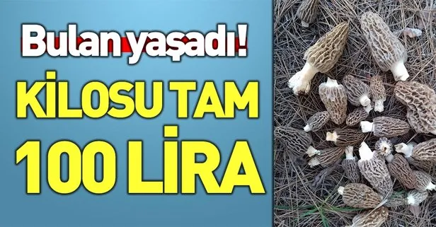 takvim gazetesi