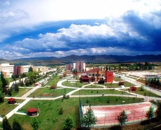İnönü Üniversitesi 33 öğretim üyesi alacak