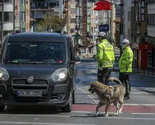 81 ilde sokağa çıkma kısıtlaması