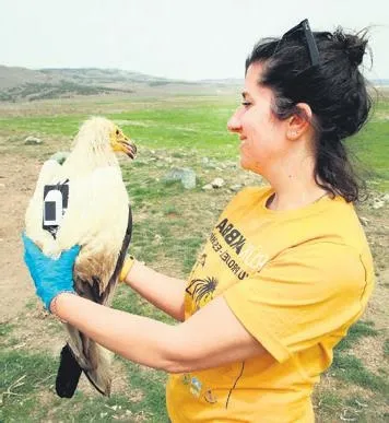 avukat-sevgilisine-kabusu-yasatti-oldurecek-beni-1682375113009.jpeg Avukat sevgilisine kabusu yaşattı: "Öldürecek beni..."-6