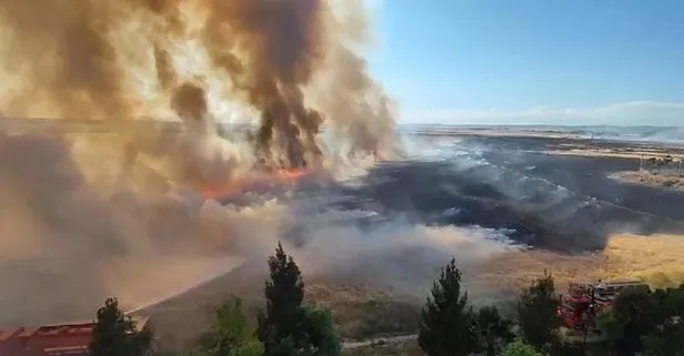 Mardin Suriye sınırında hareketli dakikalar yaşandı! Mayınlı bölgede çıkan yangın 30 dönüm buğday ekili alanı yaktı