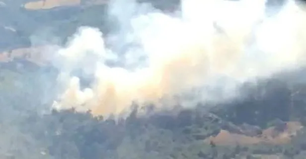 Manisa'da orman yangını! Kontrol altına alındı