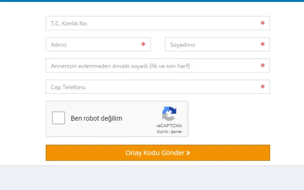 Acik Kapi Basvuru Sonucu Sorgulama Acik Kapi Basvurulari Nasil Sorgulanir Takvim