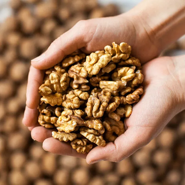 Ceviz + su ile tüketince o sorunu çözüyor!