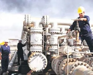 TANAP hattına Limak imzası