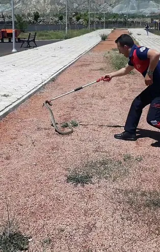 Erzincan'da ekipleri alarma geçiren olay! Çocuk parkında bulundu