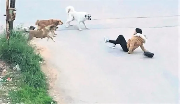 muge-anli-ile-tatli-sert-programinda-aranan-dursun-zehirin-akibeti-belli-oldu-5-bin-lira-icin-5-parca-1648419562629.jpeg "Müge Anlı İle Tatlı Sert Programı'nda aranan Dursun Zehir'in akıbeti belli oldu! 5 bin lira için 5 parça-15