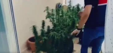 zehir-tacirlerine-gecit-yok-17-ilde-narkocelik-29-operasyonu-1722317050046.jpeg Zehir tacirlerine geçit yok! 17 ilde Narkoçelik-29 operasyonu-2