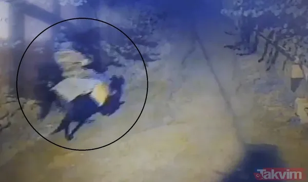 "Nal" iziyle çözülen cinayet! Yaşlı çifti öldüren katilin at üstünde görüntüsü çıktı - 6