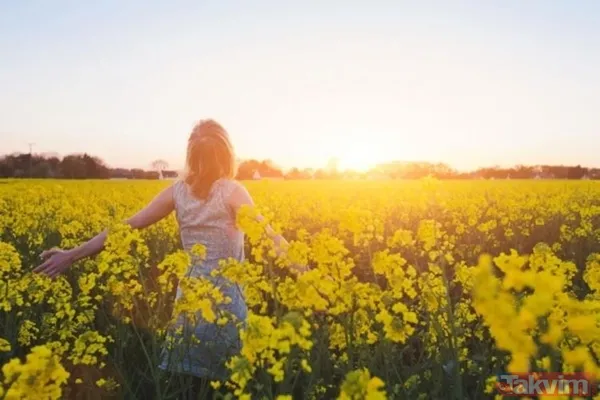 Bilim insanları da onayladı hafızayı çelik gibi yapıyor! Bunu yiyenin hafızası hiçbir şeyi silmiyor bulan kaçırmasın - 17