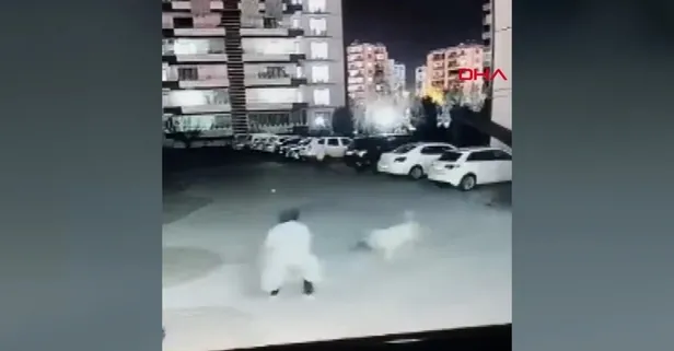 Diyarbakır’da başıboş köpek anne ve çocuğuna saldırdı