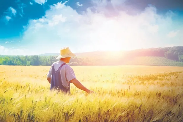 sosyal-destekler-artti-yasli-ayligi-1536-tl-engelli-ayligi-1840-lira-oldu-1658520968927.jpeg Sosyal destekler arttı! Yaşlı aylığı 1536 TL, engelli aylığı 1840 lira oldu-6