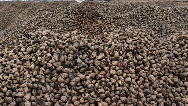 tarim-ve-orman-bakanligi-nbsde-nisasta-bazli-seker-kotanin-yuzde-25ten-yuzde-5e-cikarildigi-iddialarini-yalanladi-1623073738499.jpg Tarım ve Orman Bakanlığı NBŞ'de (nişasta bazlı şeker) kotanın yüzde 2,5'ten yüzde 5'e çıkarıldığı iddialarını yalanladı-4