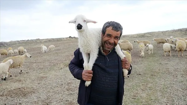 Maaşı 10 bin liraya çıkan çobanlığın yıldızı parladı! Samsun'da Sürü Yönetimi Kursu açıldı-7