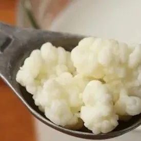 Bağırsak dostu kefir