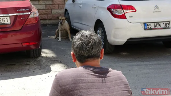 'Daire 16' sözleriyle gündem oldu! Köpük yerinde kalacak - 38