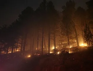 Çanakkale’de orman yangını