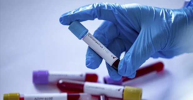 Can kaybımız 3 bin 174’e çıktı