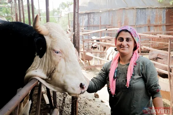 Sonra Sermaye İçin Bilezikleri Sattı. Kendine Buzağı Olan Bir İnek Aldı. İlk Başlarda Küçümseniyordu Ama Kar Ettikçe İnek Sayısını Arttırmaya Başladı. Ben De...