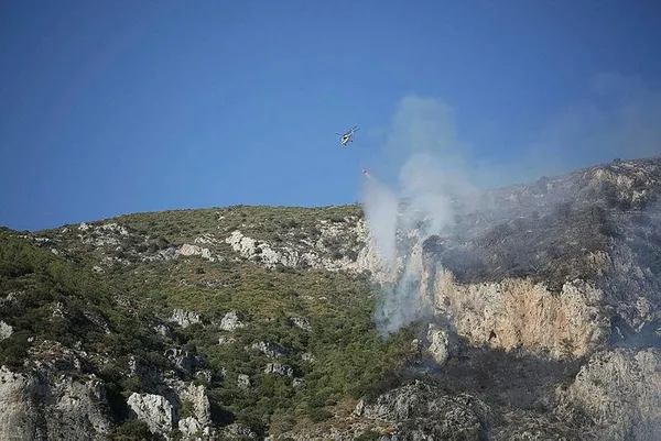 1691507295976.jpeg Milas’ta orman yangını! Hektarlarca alan kül döndü-2