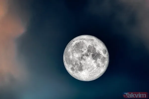 Akrep Aşk Ve Yaratıcılık Yarım Kalmış Bir Aşk Hikayesi Resmi Bir Sona Evriliyor; Çocuklarla İlgili Önemli Bir Karar Alınabilir. Yay Aile Ve Yuva Taşınma, Mülk...