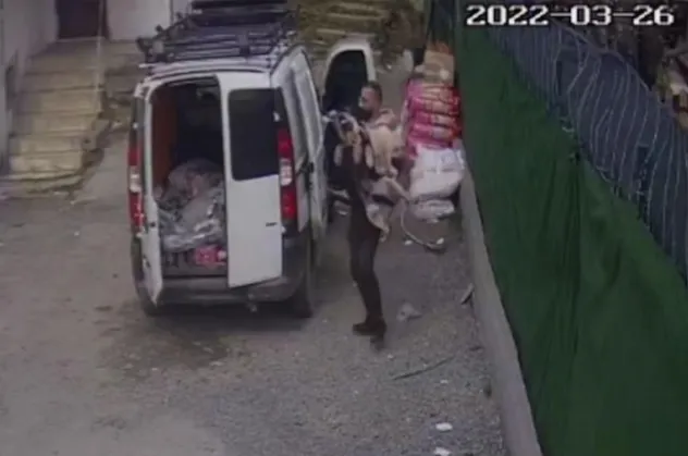 CHP'li İBB'den bir skandal daha! İğne ile vurup ölüme terk ettiler
