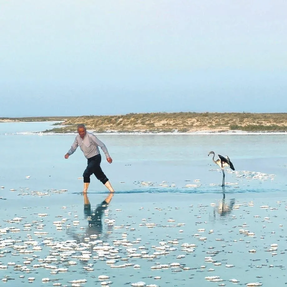 ’Kuş’kusuz mutluluk ’flamingo’