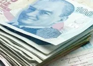 Görenler şaşkına dönüyor! 100 TLlik banknot 250 bine satıyor!