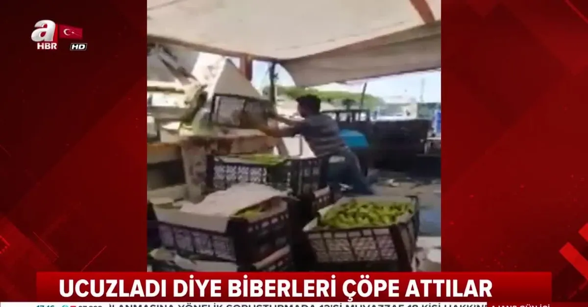 Domatesten sonra ucuzladı diye biberleri de çöpe attılar