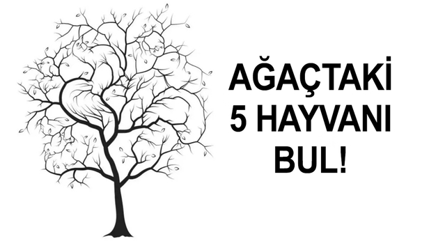 IQ testi: Ağaçtaki 5 hayvanı görebildiysen hafızan çelik gibi çıkıyor