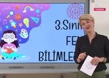 EBA TV - 3. Sınıf Fen Bilimleri  Konu: Bitkilerin Yaşam Döngüsü