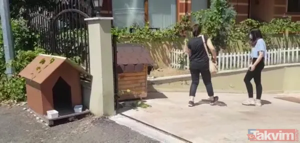 'Daire 16' sözleriyle gündem oldu! Köpük yerinde kalacak - 22