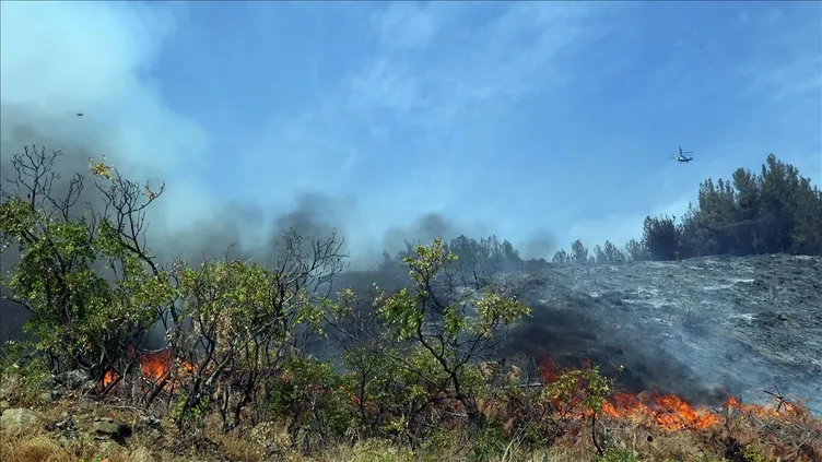 Kahramanmaraş’taki orman yangını evlere sıçradı!