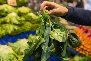 Rokanın faydaların nelerdir?