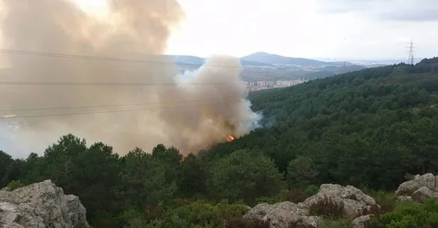 Son dakika haberi: Aydos’taki orman yangının sebebi belli oldu
