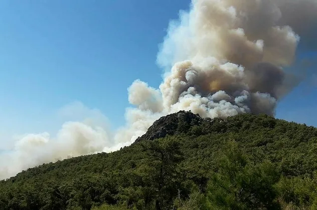 Antalya Kumluca'da korkutan yangın!
