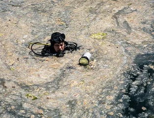 YÖK’ten flaş karar! Müsilajı araştırana burs!