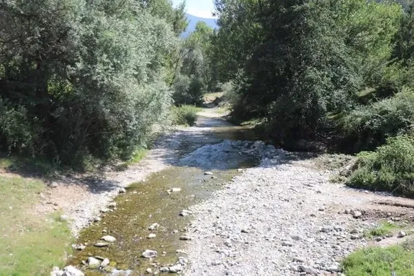 Bolu'da zehirlenmelerin yaşandığı Yuva köyü için özel heyet oluşturulacak-4