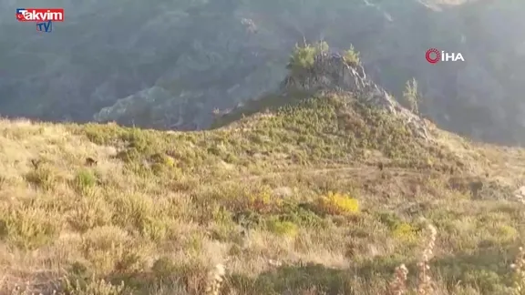 Antalya'da mantar ararken fenalaşan iki çocuk babası öldü