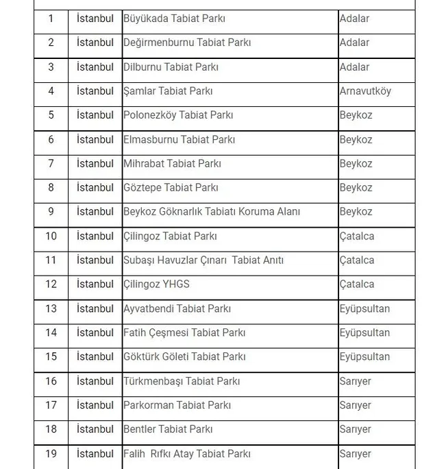 Son dakika: İstanbul'da ormanlara giriş yasağı! Vali Yerlikaya duyurdu: Ormanlara giriş yasağı 31 Temmuz'a kadar sürecek! İşte mangal yapmanın yasak olduğu yerler...-15