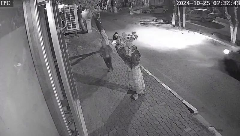 İzmir'in Kemalpaşa ilçesinde bir kişi, takıntılı olduğu komşuları olan genç kızı takip edip boynundan bıçakla yaralayarak darp etti. (İHA)