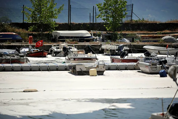 1622094671802.jpg Marmara Denizi ölüyor! Felakete dikkat çektiler! Deniz salyası...-3