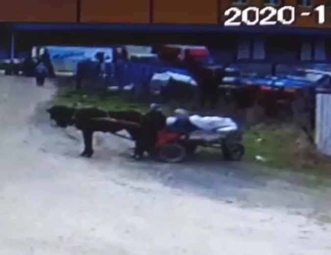 At arabasıyla çaldılar! Tam 4 ton...