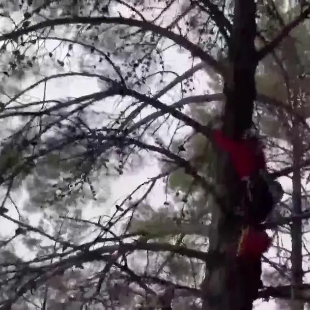 Fethiye’de ağaçta asılı kalan yabancı uyruklu paraşütçü böyle kurtarıldı