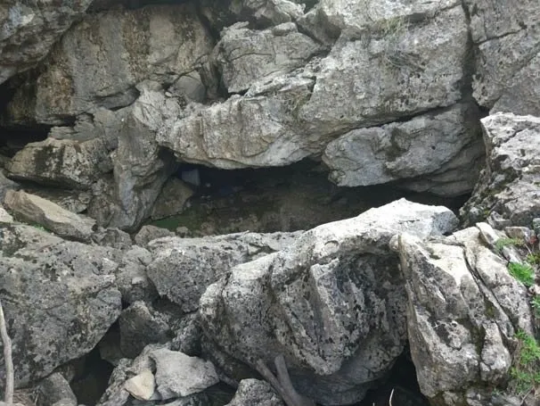 Dicle'de geniş kapsamlı terör operasyonu-5
